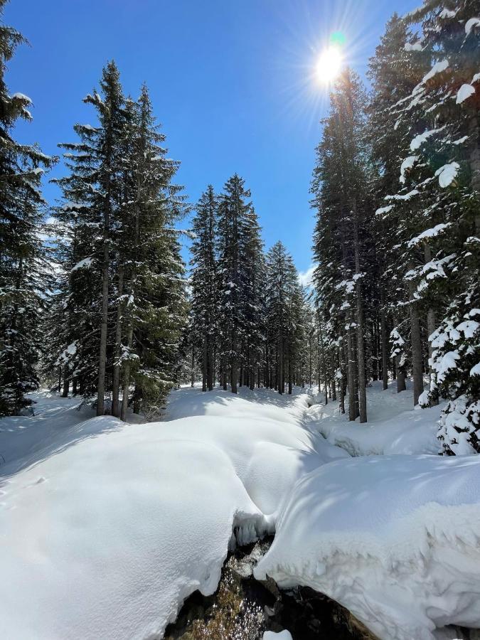 Pinzolo-dolomiti 3*